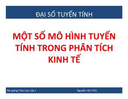 Toán cao cấp 1 - Một số mô hình tuyến tính trong phân tích kinh tế