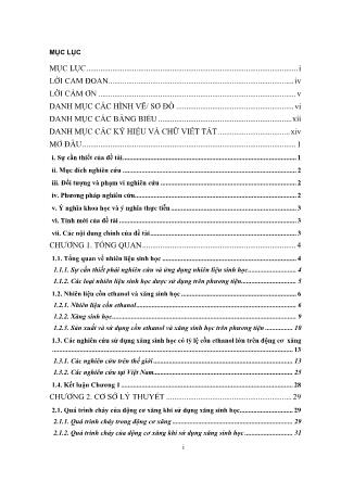 Luận án Nghiên cứu sử dụng nhiên liệu sinh học có tỷ lệ cồn ethanol tới 100% cho động cơ xăng