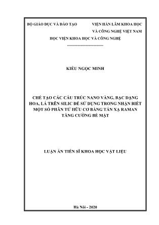 Luận án Chế tạo các cấu trúc nano vàng, bạc dạng hoa, lá trên silic để sử dụng trong nhận biết một số phân tử hữu cơ bằng tán xạ raman tăng cường bề mặt