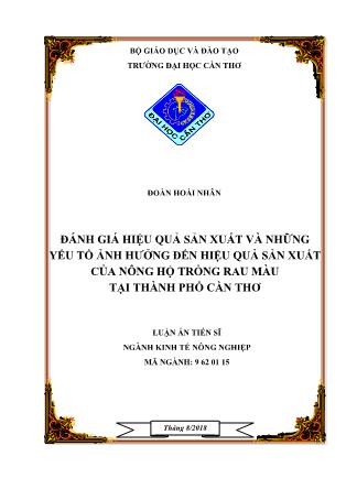 Luận án Đánh giá hiệu quả sản xuất và những yếu tố ảnh hưởng đến hiệu quả sản xuất của nông hộ trồng rau màu tại thành phố Cần Thơ