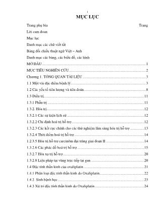 Luận án Hóa trị hỗ trợ carcinôm đại tràng giai đoạn III bằng phác đồ Oxaliplatin, 5 - Fluorouracil và Leucovorin