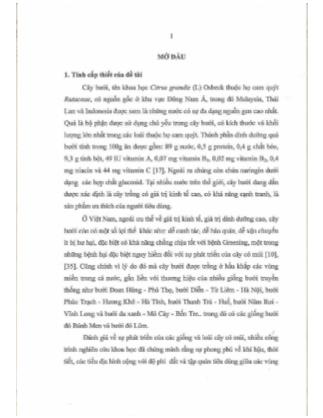 Luận án Nghiên cứu biện pháp kỹ thuật nâng cao năng suất và chất lượng một số giống bưởi đỏ tại Hà Nội
