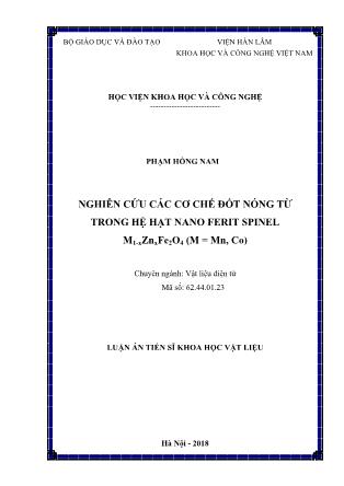 Luận án Nghiên cứu các cơ chế đốt nóng từ trong hệ hạt nano ferit spinel