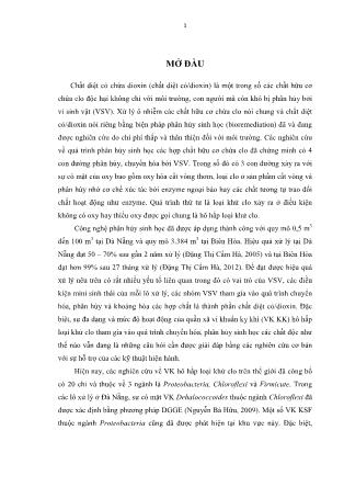 Luận án Nghiên cứu đa dạng quần xã vi khuẩn kỵ khí trong các lô xử lý chất diệt cỏ / dioxin bằng phương pháp phân hủy sinh học