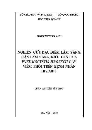 Luận án Nghiên cứu đặc điểm lâm sàng, cận lâm sàng, kiểu gen của pneumocystis jirovecii gây viêm phổi trên bệnh nhân HIV / AIDS