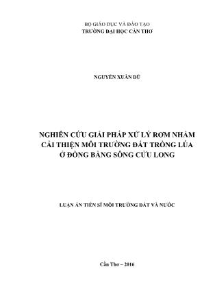 Luận án Nghiên cứu giải pháp xử lý rơm nhằm cải thiện môi trường đất trồng lúa ở đồng bằng sông Cửu Long