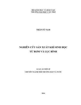 Luận án Nghiên cứu sản xuất khí sinh học từ rơm và lục bình