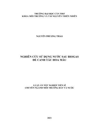 Luận án Nghiên cứu sử dụng nước sau biogas để canh tác hoa màu