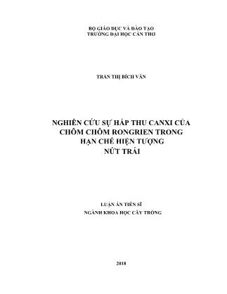 Luận án Nghiên cứu sự hấp thu canxi của chôm chôm rongrien trong hạn chế hiện tượng nứt trái