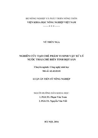 Luận án Nghiên cứu tạo chế phẩm vi sinh vật xử lý nước thải chế biến tinh bột sắn