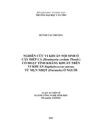 Luận án Nghiên cứu vi khuẩn nội sinh ở cây diếp cá (houttuynia cordata thunb.) có hoạt tính kháng khuẩn trên vi khuẩn staphylococcus aureus từ mụn nhọt (furuncle) trên người