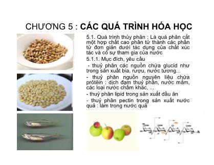 Các quá trình cơ bản trong công nghệ thực phẩm - Chương 5: Các quá trình hóa học