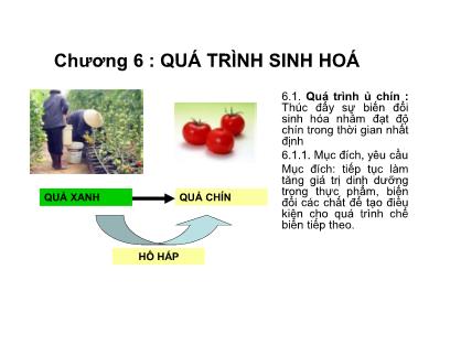 Các quá trình cơ bản trong công nghệ thực phẩm - Chương 6: Quá trình sinh hoá