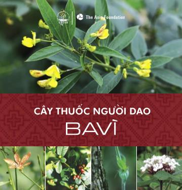 Cây thuốc người dao Ba vì