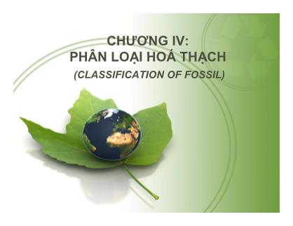 Cổ sinh vật học - Chương IV: Phân loại hoá thạch