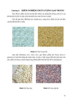 Giáo trình Kiểm nghiệm lương thực - Chương 5: Kiểm nghiệm chất lượng gạo trắng