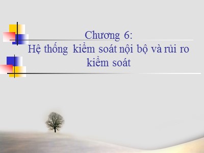 Kế toán, kiểm toán - Chương 6: Hệ thống kiểm soát nội bộ và rủi ro kiểm soát