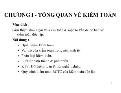 Kế toán, kiểm toán - Chương I: Tổng quan về kiểm toán