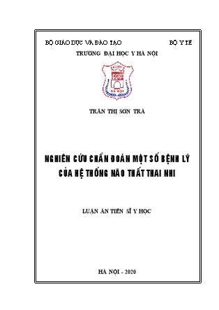 Luận án Nghiên cứu chẩn đoán một số bệnh lý của hệ thống não thất thai nhi