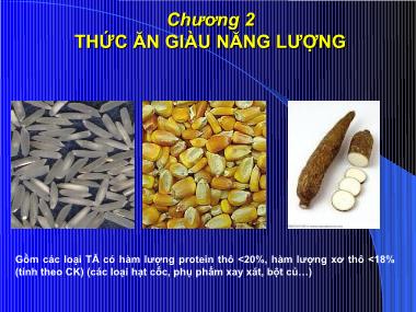 Phân loại thức ăn và phụ gia - Chương 2: Thức ăn giàu năng lượng