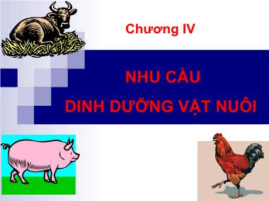 Thực phẩm - Chương IV: Nhu cầu dinh dưỡng vật nuôi