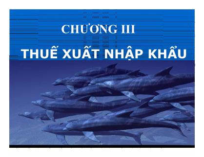 Thuế - Chương III: Thuế xuất nhập khẩu