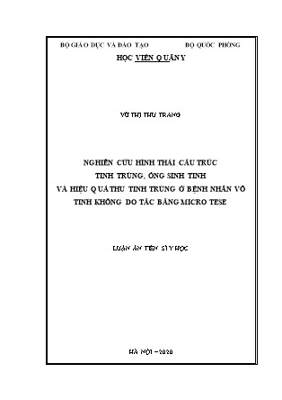 Luận án Nghiên cứu hình thái cấu trúc tinh trùng, ống sinh tinh và hiệu quả thu tinh trùng ở bệnh nhân vô tinh không do tắc bằng micro tese