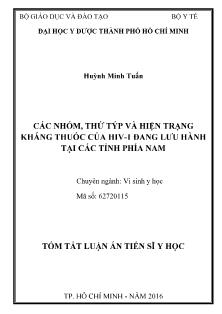 Tóm tắt Luận án Các nhóm, thứ týp và hiện trạng kháng thuốc của HIV - 1 đang lưu hành tại các tỉnh phía nam