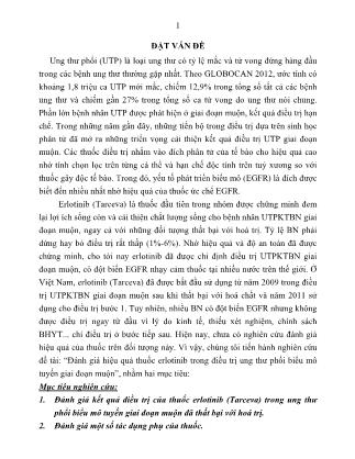 Tóm tắt Luận án Đánh giá hiệu quả thuốc erlotinib trong điều trị ung thư phổi biểu mô tuyến giai đoạn muộn