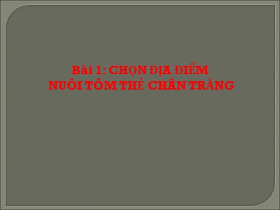 Bài giảng Dạy nghề - Bài 1: Chọn địa điểm nuôi tôm thẻ chân trắng