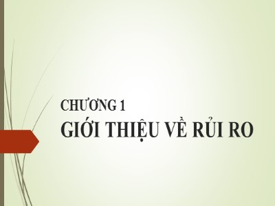 Bài giảng Quản trị rủi ro - Chương 1: Giới thiệu về rủi ro - Võ Hữu Khánh